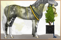 Horse Color:White Spotted Silver Black Chinchilla 