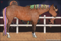 Horse Color:Painted Silver Bay 