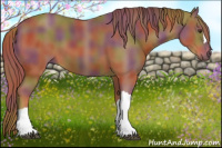 Horse Color:Nacre Chestnut 