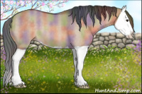 Horse Color:Nacre Bay Dun Splash 