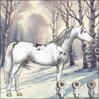 Horse Color:Liver Chestnut Mushroom Sabino 