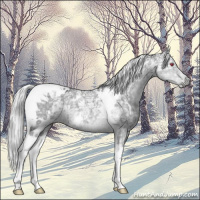 Horse Color:White Spotted Silver Grullo Chinchilla Ice Tobiano Brindle 