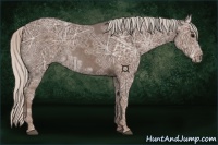 Horse Color:Silver Black Ice 