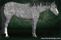 Horse Color:Black Ice 