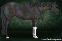 Horse Color:Midnight Grullo Ice 