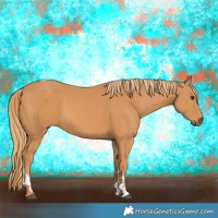 Horse Color:Chestnut Tobiano