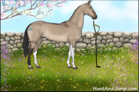 Horse Color:Brown Dun Tobiano 