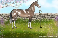 Horse Color:White Spotted Brown Dun Sabino Splash 