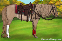 Horse Color:Red Dun Rabicano 