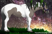 Horse Color:Grullo Tobiano 