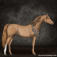 Horse Color:Chestnut Rabicano