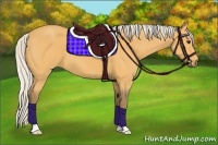 Horse Color:Silver Buckskin 