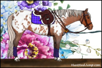 Horse Color:Silver Bay Roan Blanket 