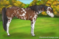 Horse Color:Buckskin Sabino 