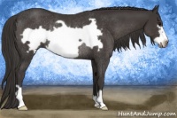 Horse Color:Smoky Black Frame Rabicano