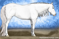 Horse Color:White Spotted Smoky Creme Tobiano Rabicano 