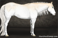 Horse Color:White Spotted Silver Smoky Black Pearl Sabino Rabicano