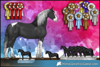Horse Color:Black Splash Tobiano