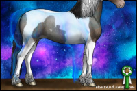 Horse Color:Gray Classic Champagne Roan Tobiano 