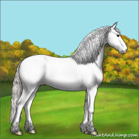Horse Color:Silver Blue Roan Splash Tobiano Rabicano