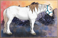 Horse Color:Liver Chestnut Sabino Splash 