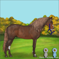 Horse Color:Liver Chestnut Frame 