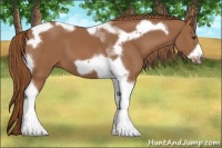Horse Color:Chestnut Tobiano Frame 