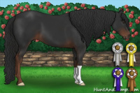 Horse Color:Liver Chestnut 