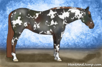 Horse Color:White Spotted Liver Chestnut 