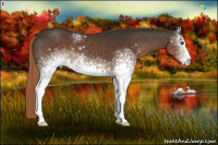 Horse Color:White Spotted Liver Chestnut Sabino