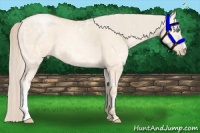 Horse Color:Palomino Ice Pearl Dun 
