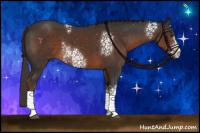 Horse Color:White Spotted Liver Chestnut 