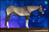 Horse Color:Blue Onyx 