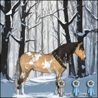 Horse Color:White Spotted Buckskin Dun 