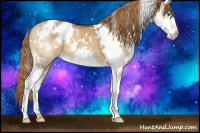 Horse Color:White Spotted Buckskin Dun Splash Appaloosa 