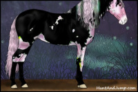 Horse Color:Watercolor White Spotted Palomino Onyx Appaloosa 