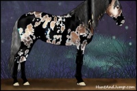 Horse Color:White Spotted Liver Red Onyx Sabino Appaloosa Rabicano 