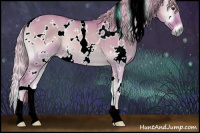 Horse Color:Watercolor White Spotted Palomino Onyx 