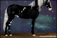 Horse Color:Watercolor White Spotted Palomino Onyx Sabino Appaloosa 