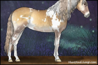 Horse Color:White Spotted Palomino Onyx Rabicano
