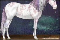 Horse Color:Watercolor White Spotted Perlino Onyx Appaloosa 