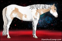 Horse Color:Silver Bay Splash Tobiano 