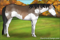 Horse Color:Gray Brown Dun Splash
