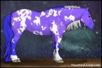 Horse Color:Watercolor White Spotted Grullo Appaloosa