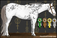 Horse Color:White Spotted Blue Roan Near Leopard Rabicano  and White Spotted Grullo Roan Near Leopard Rabicano 