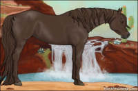 Horse Color:Gray Chestnut 