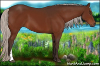 Horse Color:Silver Bay 