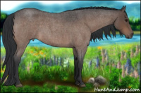 Horse Color:Brown Roan