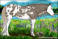 Horse Color:Chocolate Palomino Roan Splash Blanket