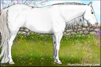 Horse Color:Chocolate Palomino Sabino Splash Appaloosa Rabicano 